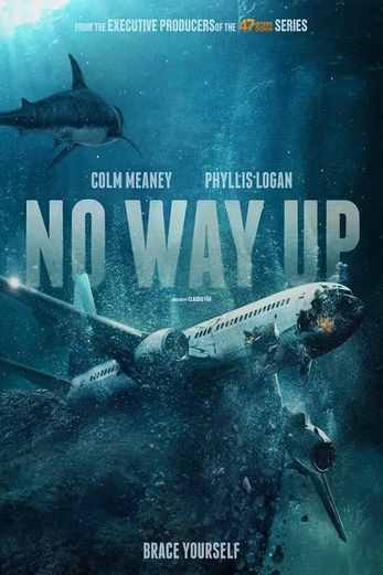 دانلود فیلم No Way Up 2024 دوبله فارسی